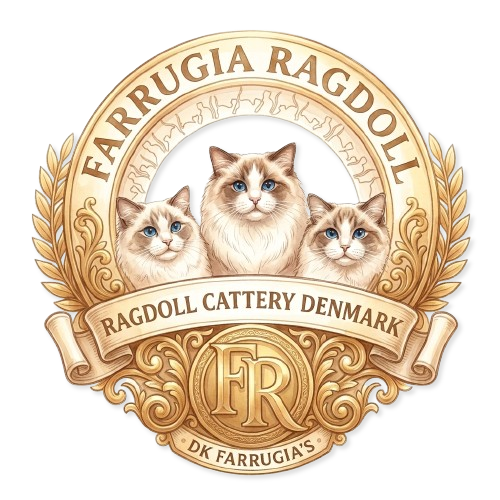 Farrugia's Ragdoll Cattery